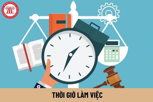 Thời gian làm việc từ 07:00 đến 22:00 tất cả các ngày trong tuần